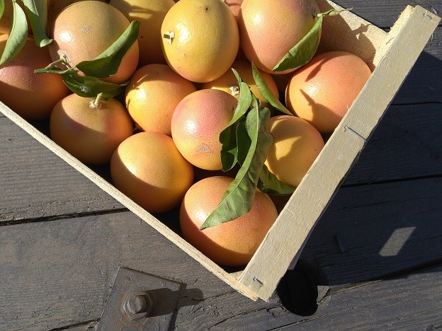 Pomelo - rose ou jaune