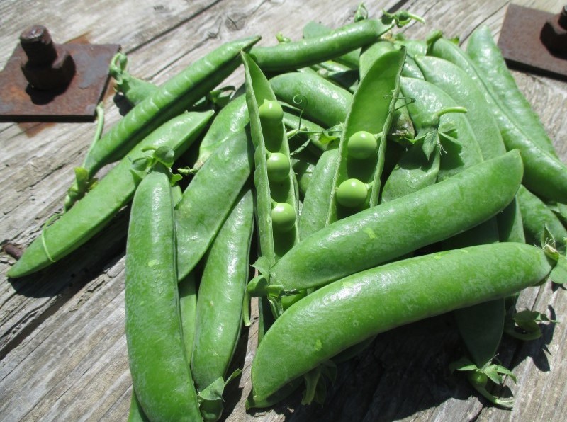 Petits pois - à écosser