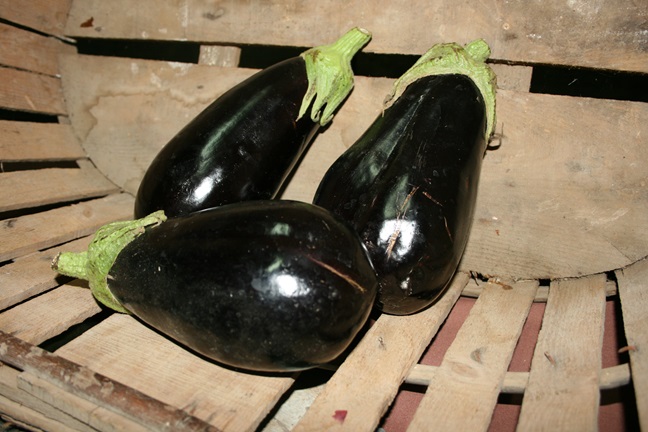 Aubergines - noires