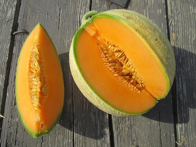 Melon