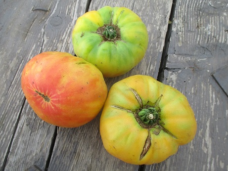 Tomates - ananas