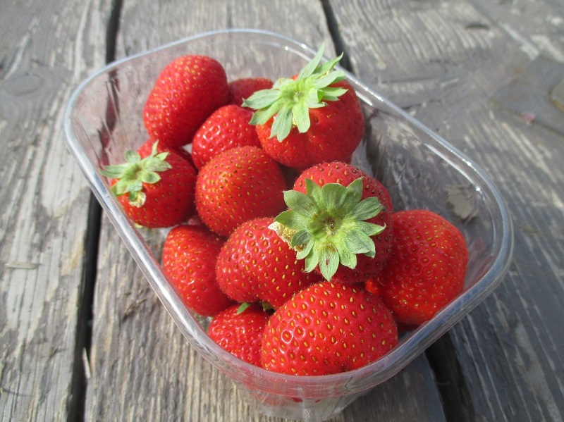 Fraises - Charlotte