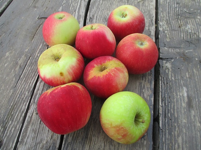 Pommes