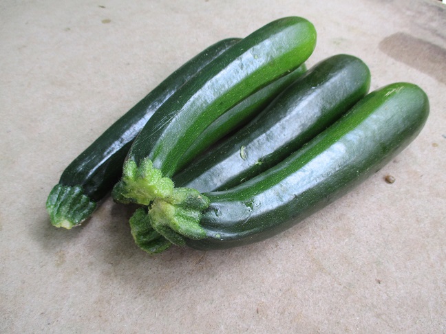 Courgettes  - vertes