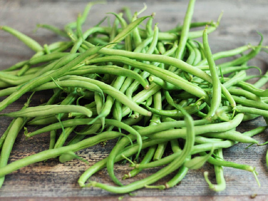 Haricots  -  verts fins 