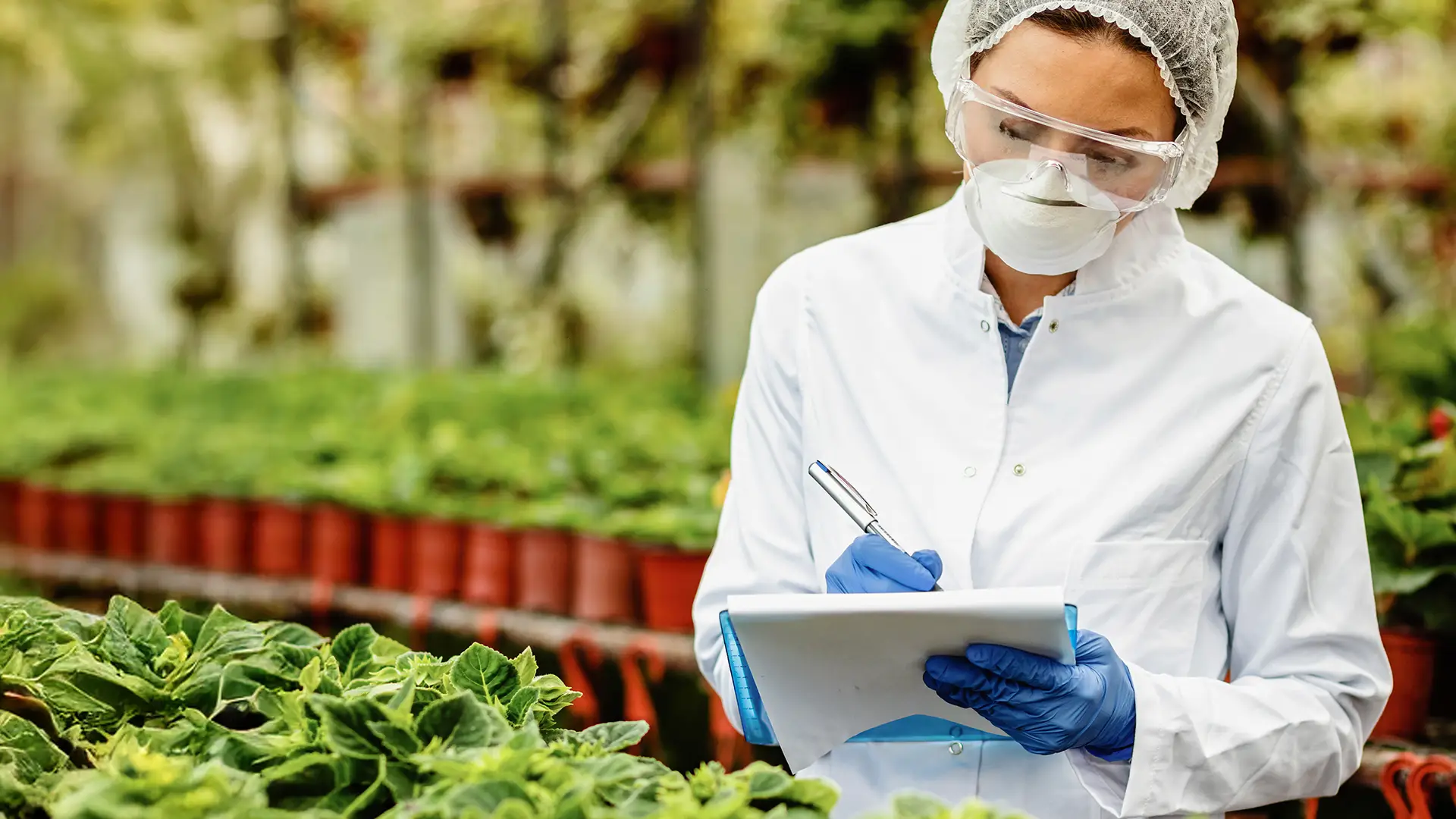 Certificación BPM y HACCP