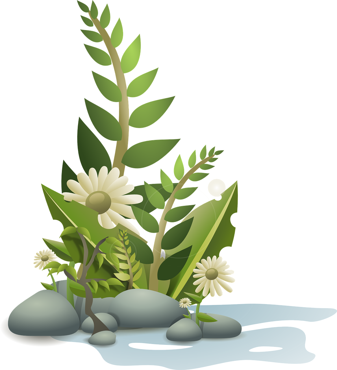 Plants