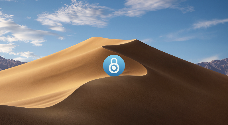 News Header Image