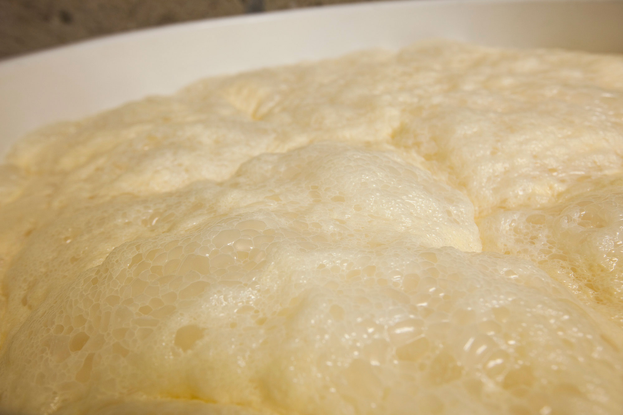 Fermentation of the shubo (yeast starter)
