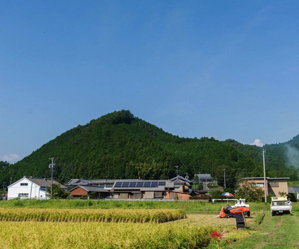 View of the brewery grounds and surrounding rice paddies beneath the mountains