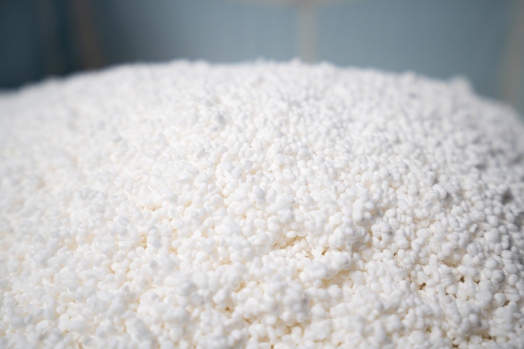 Close-up of freshly steamed sake rice