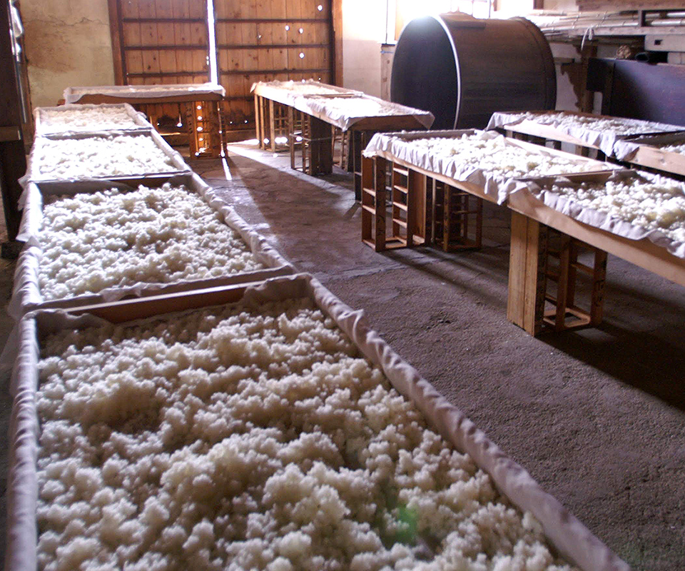 Koji rice spread on wooden trays inside the koji-making room