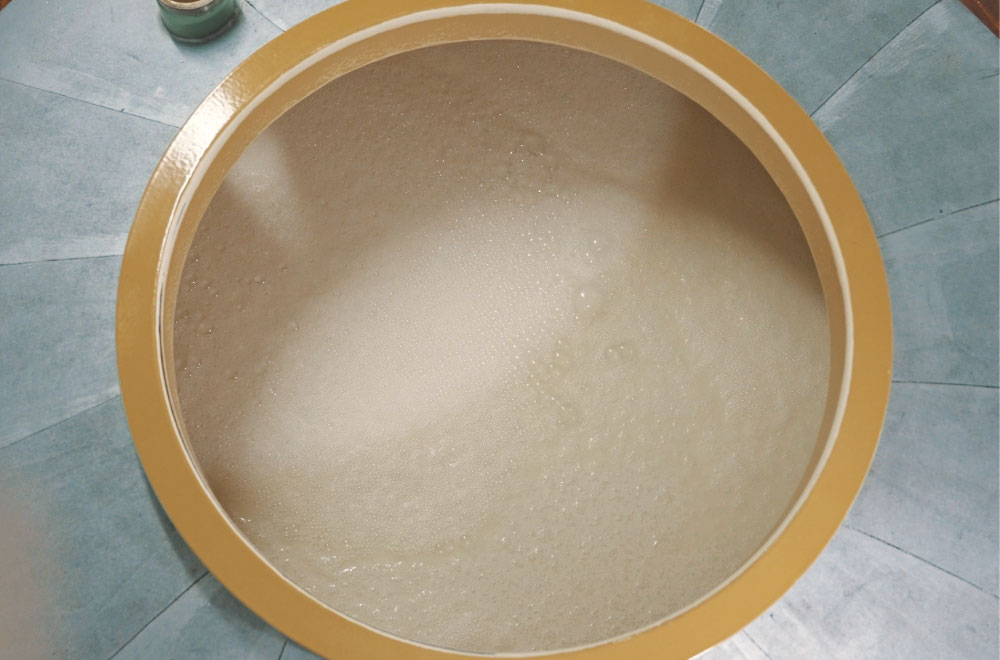 Fermenting moromi mash in an open brewing tank.