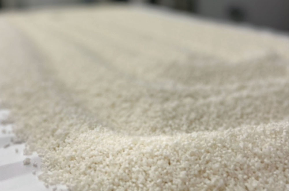 Close-up of steamed rice used for sake brewing.