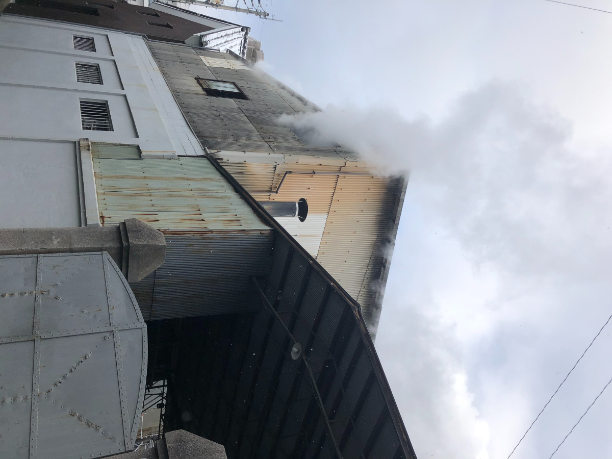 Steam rising from the brewery's corrugated-metal roof vent during rice steaming.