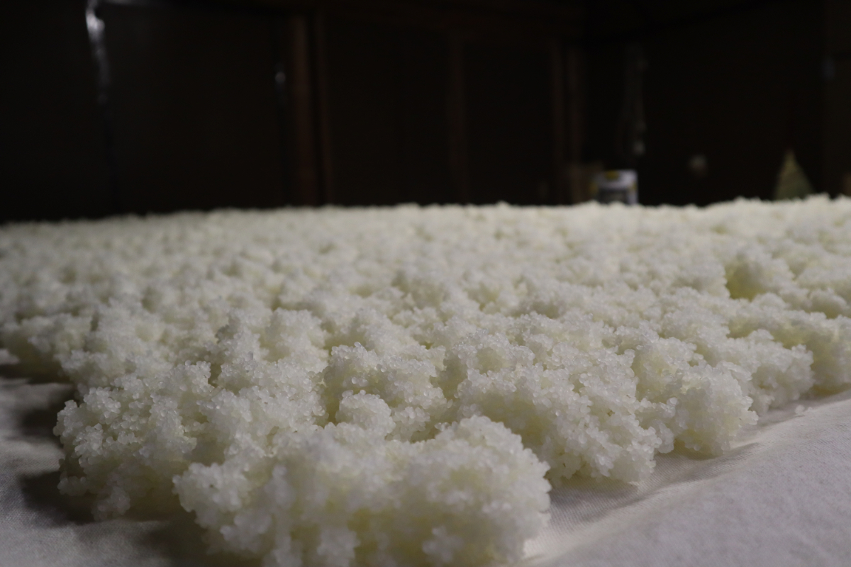 Freshly steamed rice spread out to cool inside the brewery.