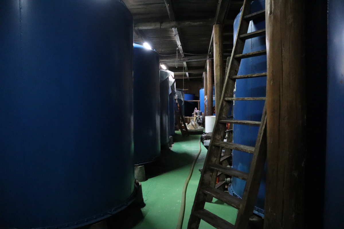 A row of fermentation tanks inside the brewery.
