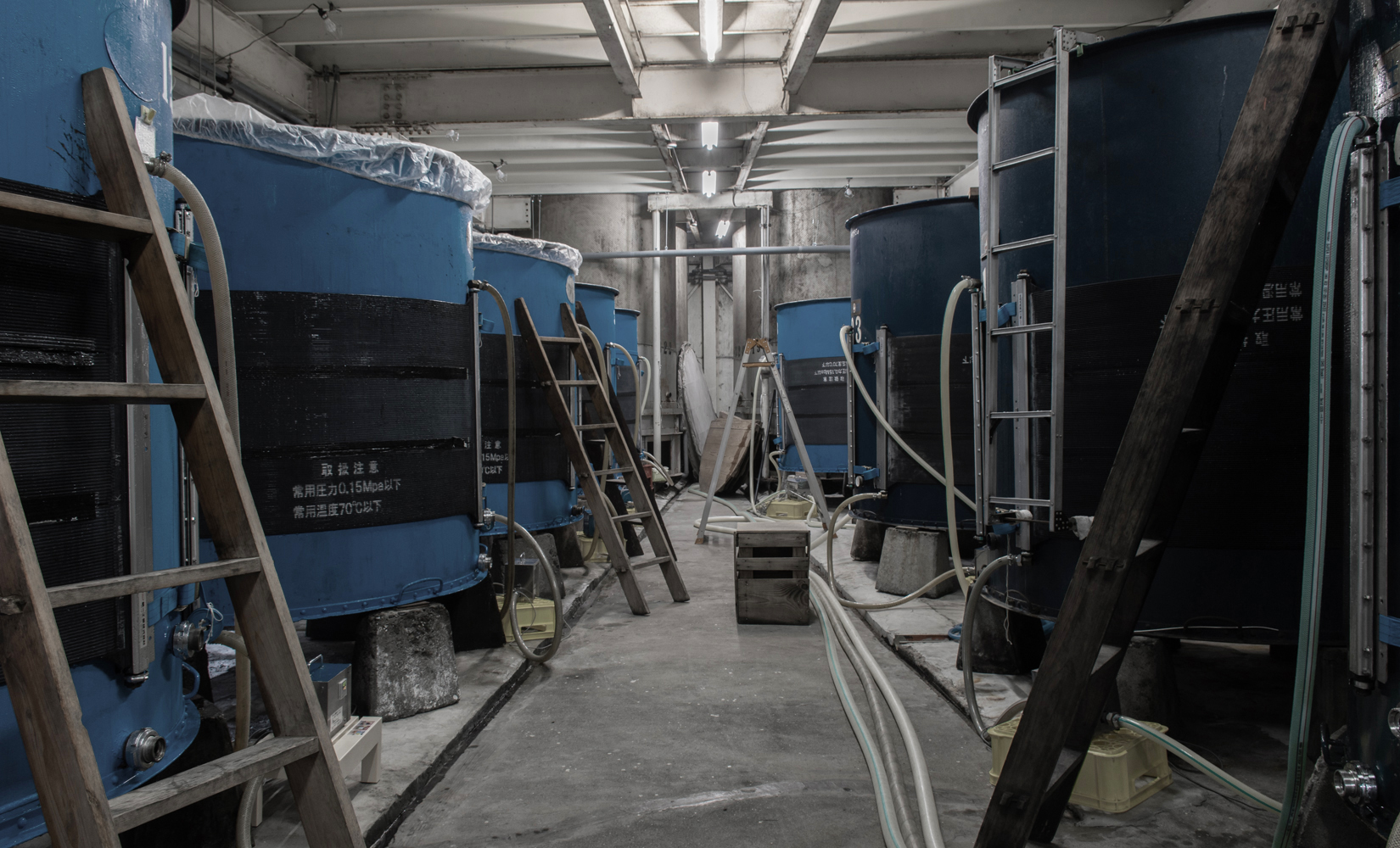 Rows of blue fermentation tanks inside the brewery's moromi room.