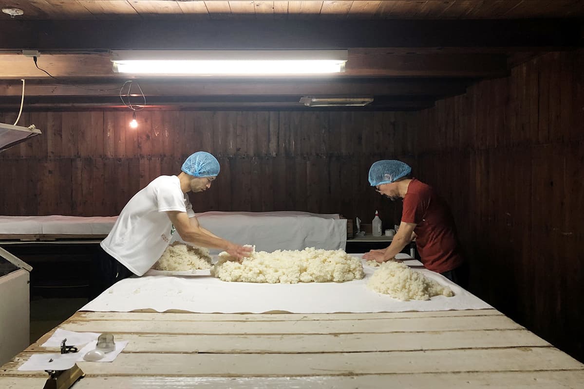 Brewery staff spreading freshly steamed koji rice on cloth-covered tables inside the kojimuro