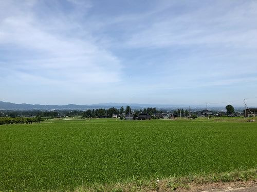 Rice paddies in Gokayama near the brewery