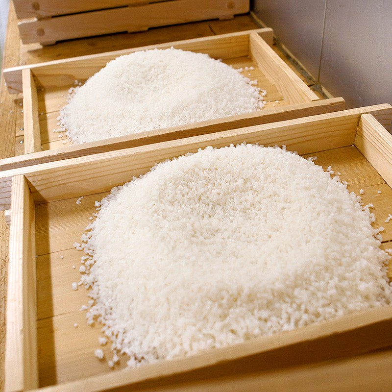 Steamed sake rice cooling on traditional wooden koji trays.