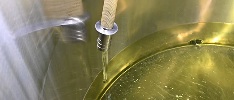 Freshly pressed sake flowing from a tank spout during the brewing process.