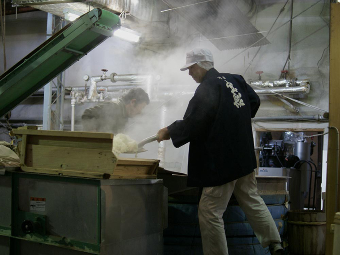 Shoveling freshly steamed rice during the koji-making process