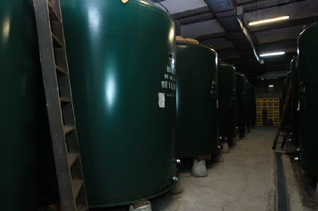 Row of storage tanks in the brewery's aging cellar.