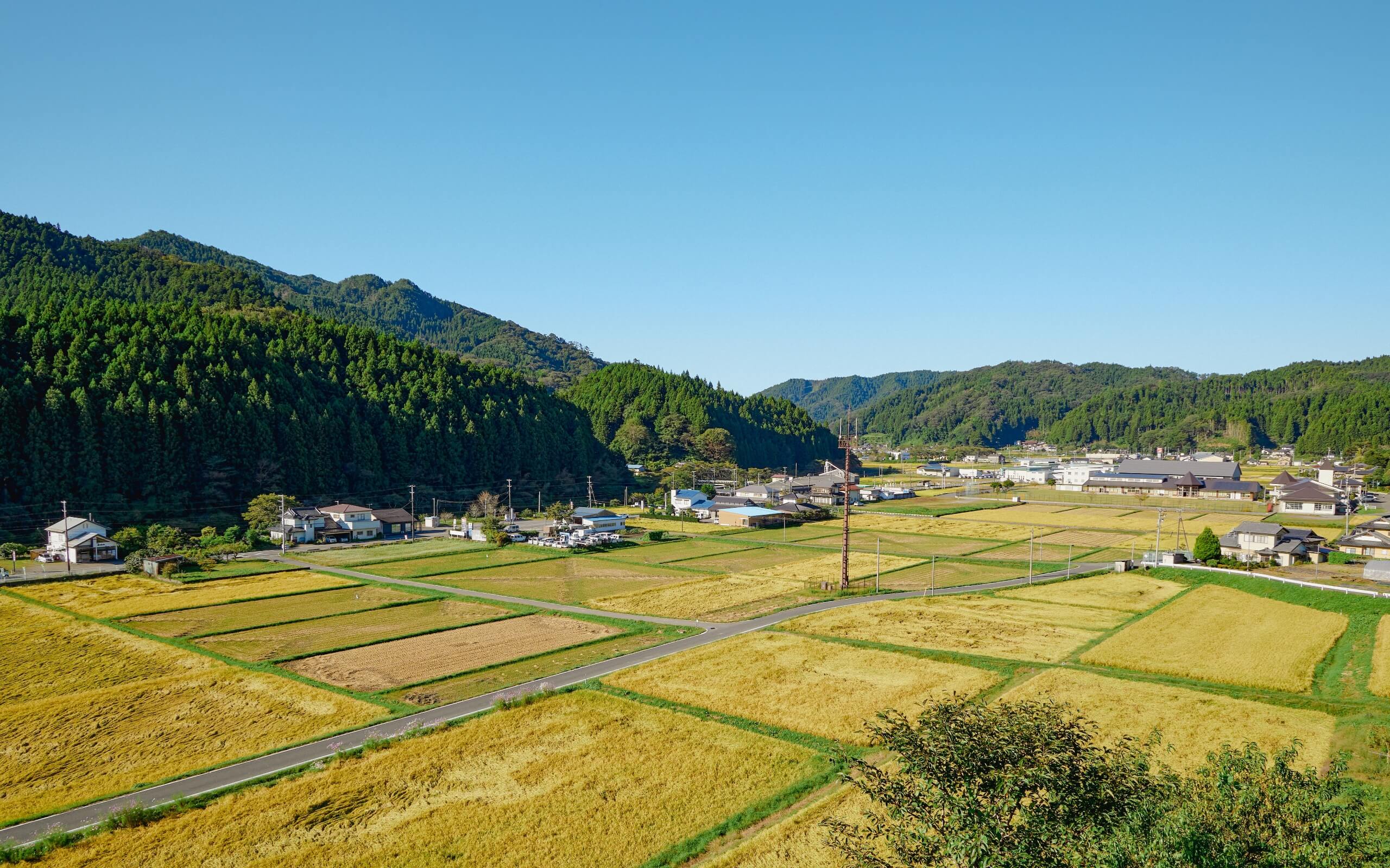 Rice paddies and the village of Furudono, Fukushima, surrounded by forested mountains.