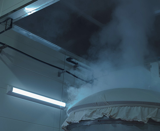 Steam rising from the rice-steaming vessel during sake production.