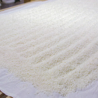 Steamed rice spread out to cool during brewing