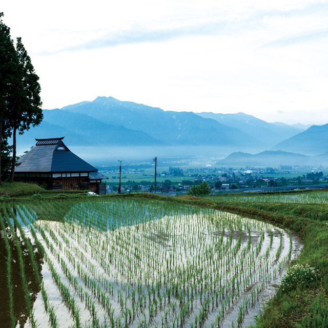 Traditional farmhouse overlooking rice paddies near the mountains of Uonuma