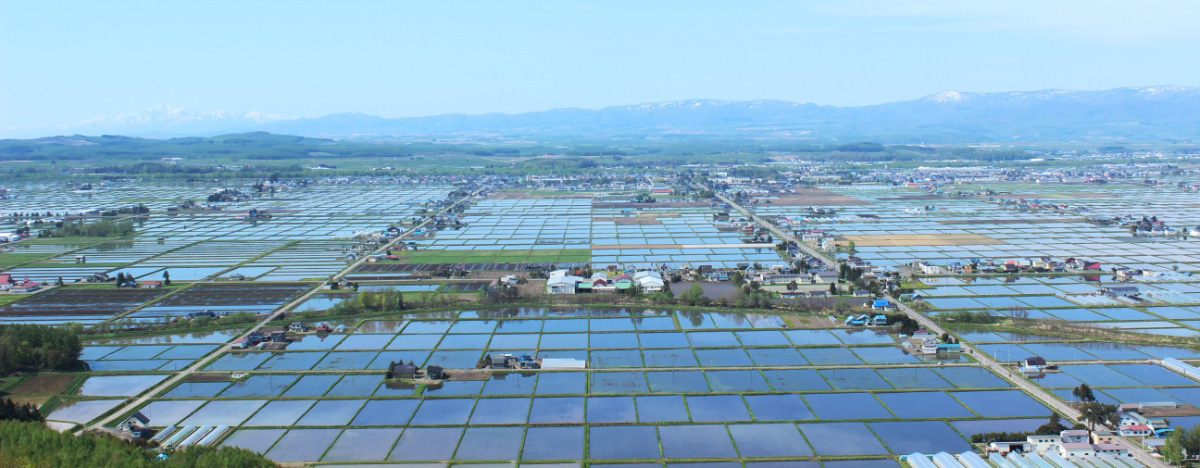 Aerial view of rice paddies across Higashikawa, Hokkaido, the brewery's current home