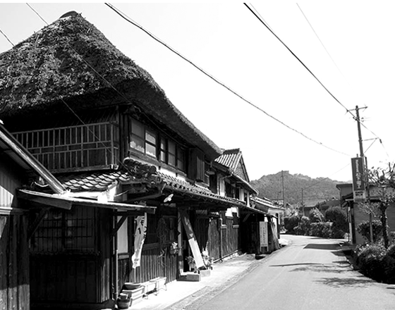 Baba Brewery