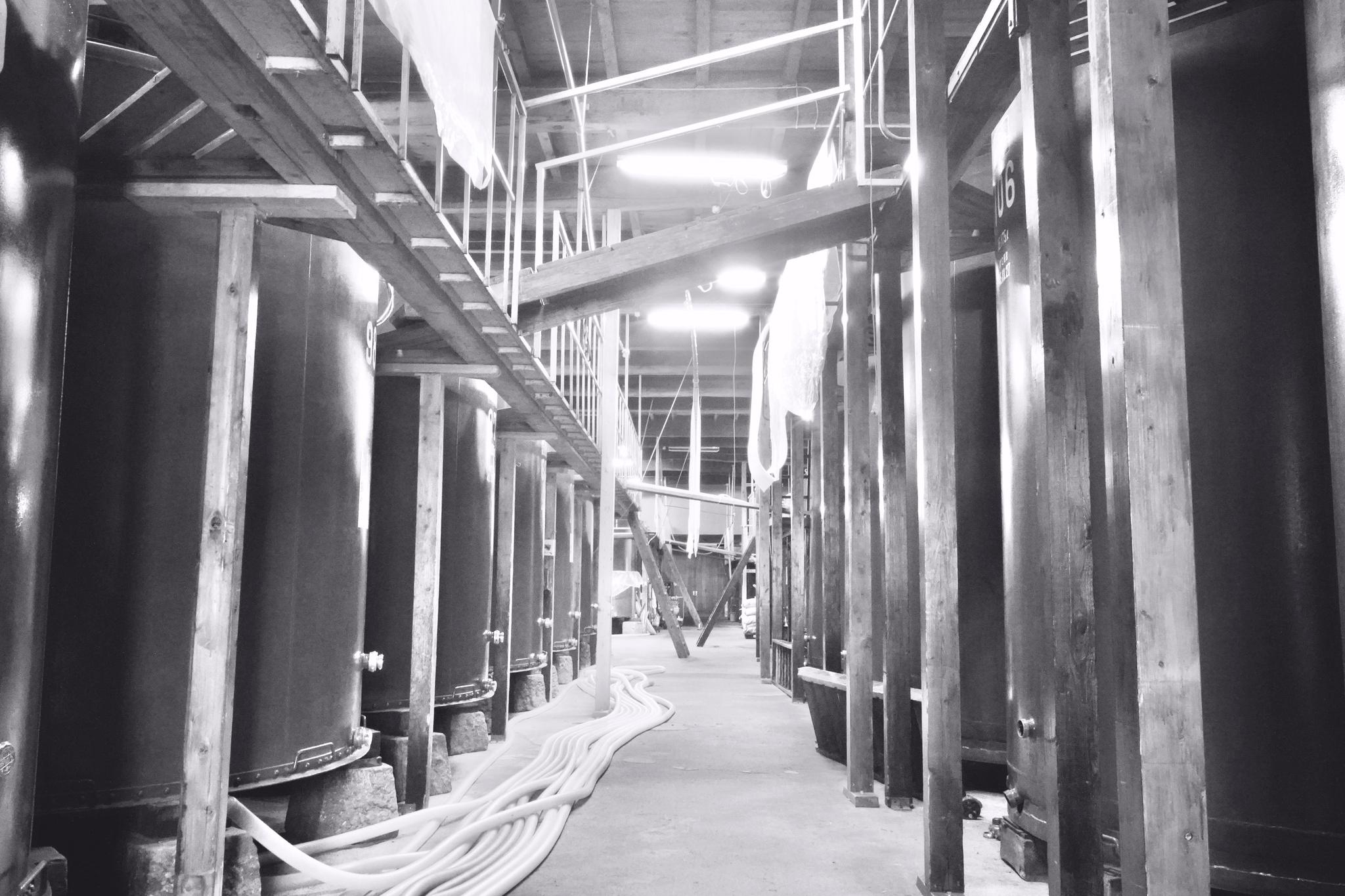 Black-and-white view down a row of traditional wooden-framed fermentation tanks inside the brewery.