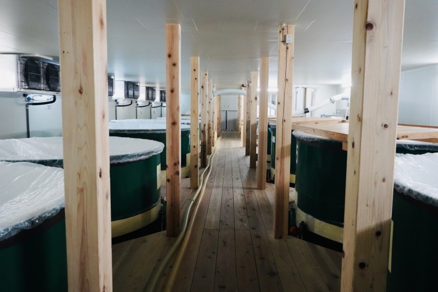 Rows of covered fermentation (moromi) tanks in the brewery's modern tank room.