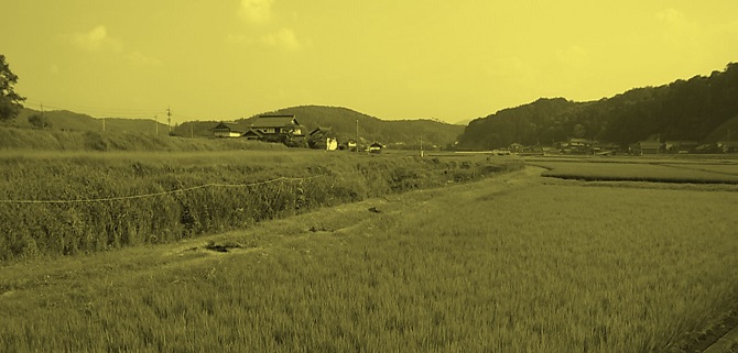 Miwasakurashuzou Co.,Ltd