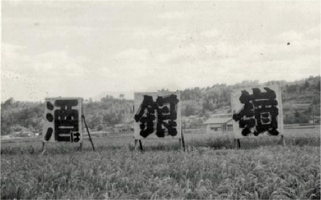Rice paddies where sake rice for the Ginrei brand was grown, historic photo