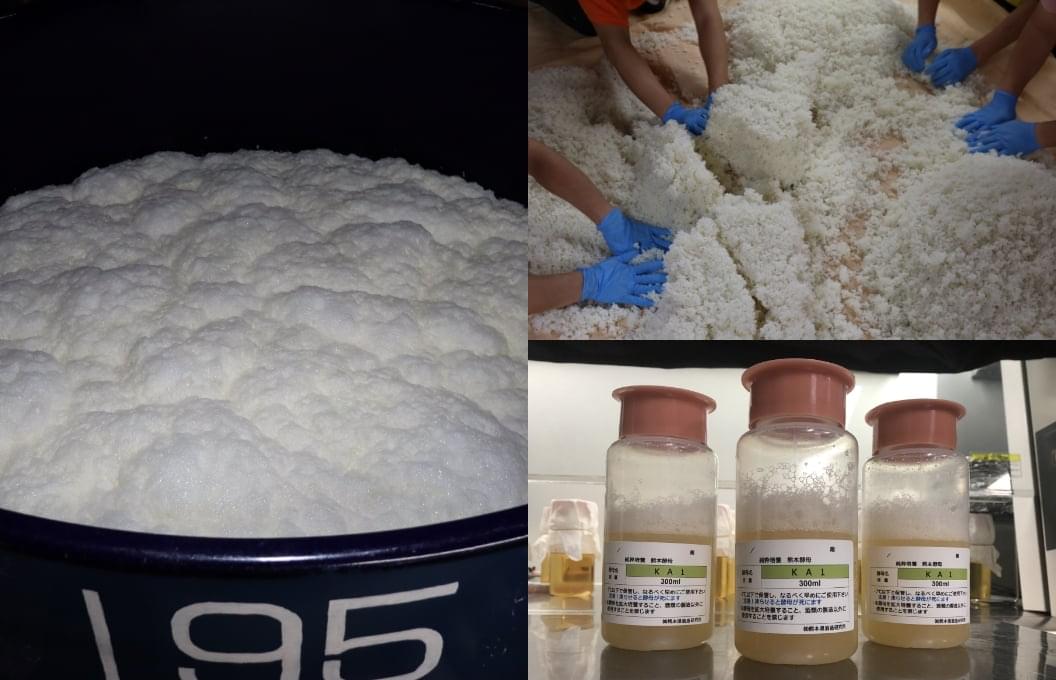 Koji rice preparation and Kumamoto yeast culture bottles