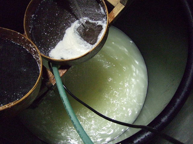 Freshly pressed sake collecting beneath the filter baskets of the fune press during shibori.