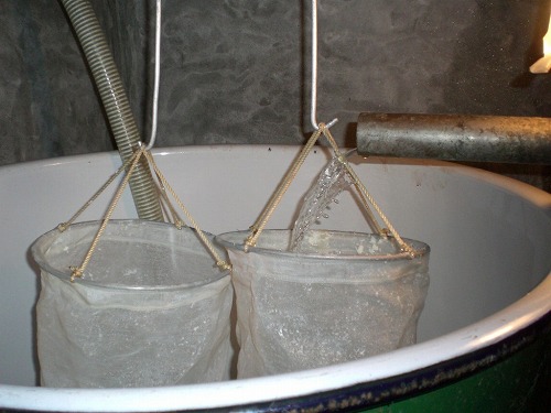 Sake bags draining in a collection vat