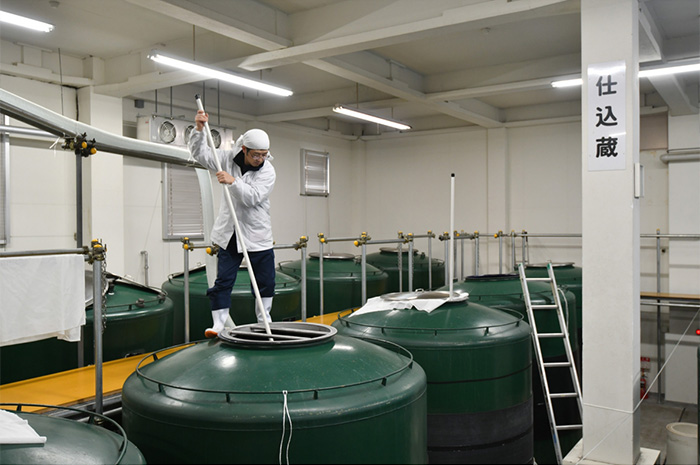 Fermentation tank room (shikomi-gura) where the moromi mash is managed.