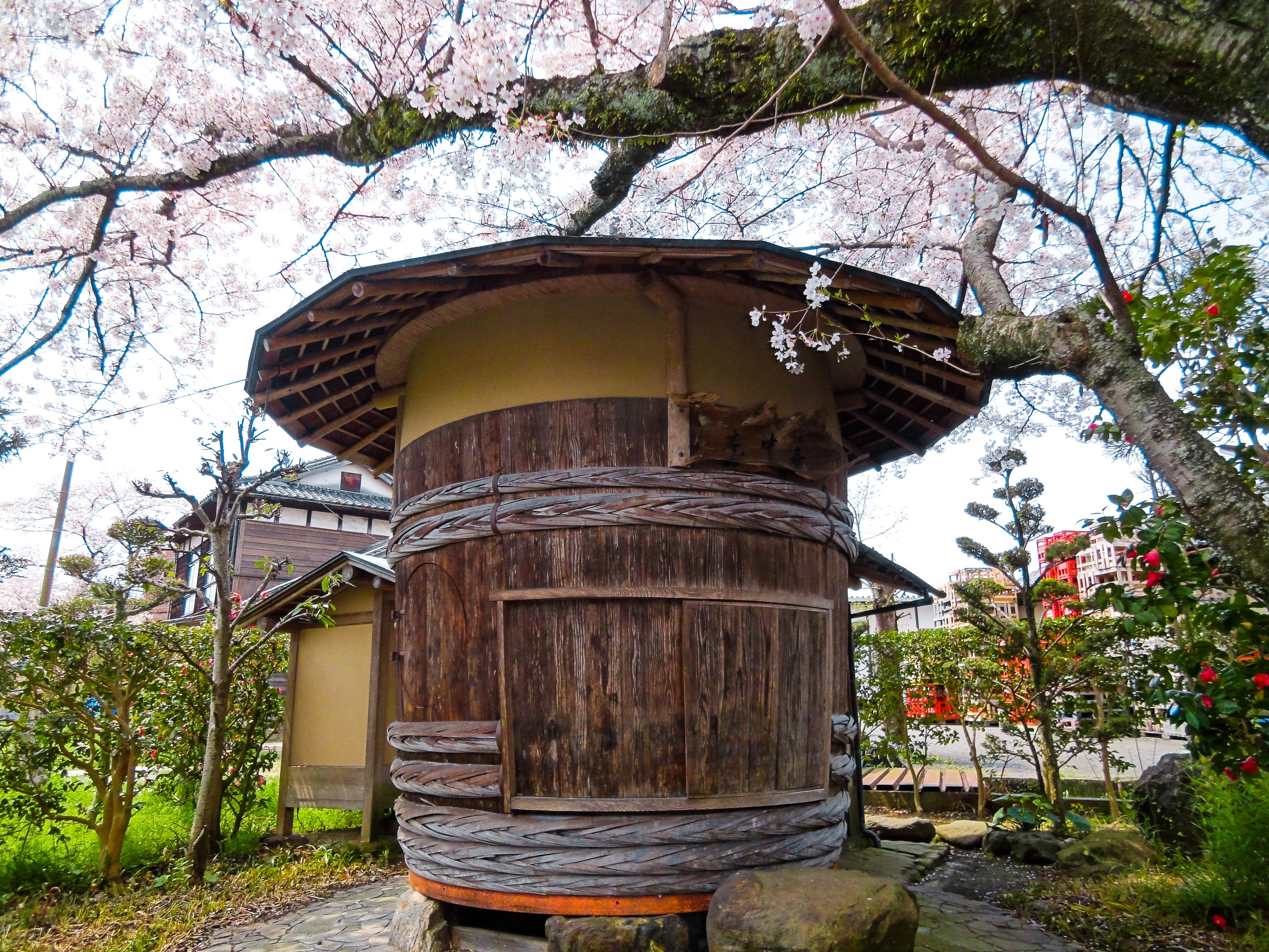 "Kochu-an" (壷中庵), a barrel-shaped garden structure on the brewery grounds, under cherry blossoms.
