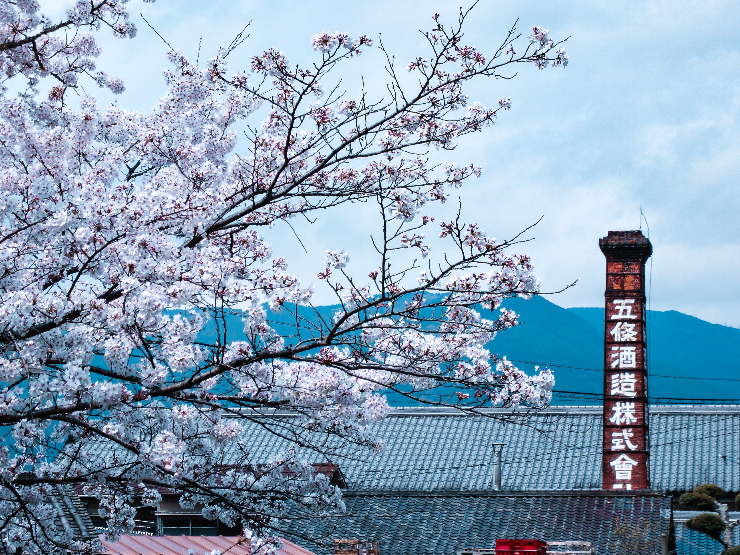Gojo Shuzo Co.,Ltd