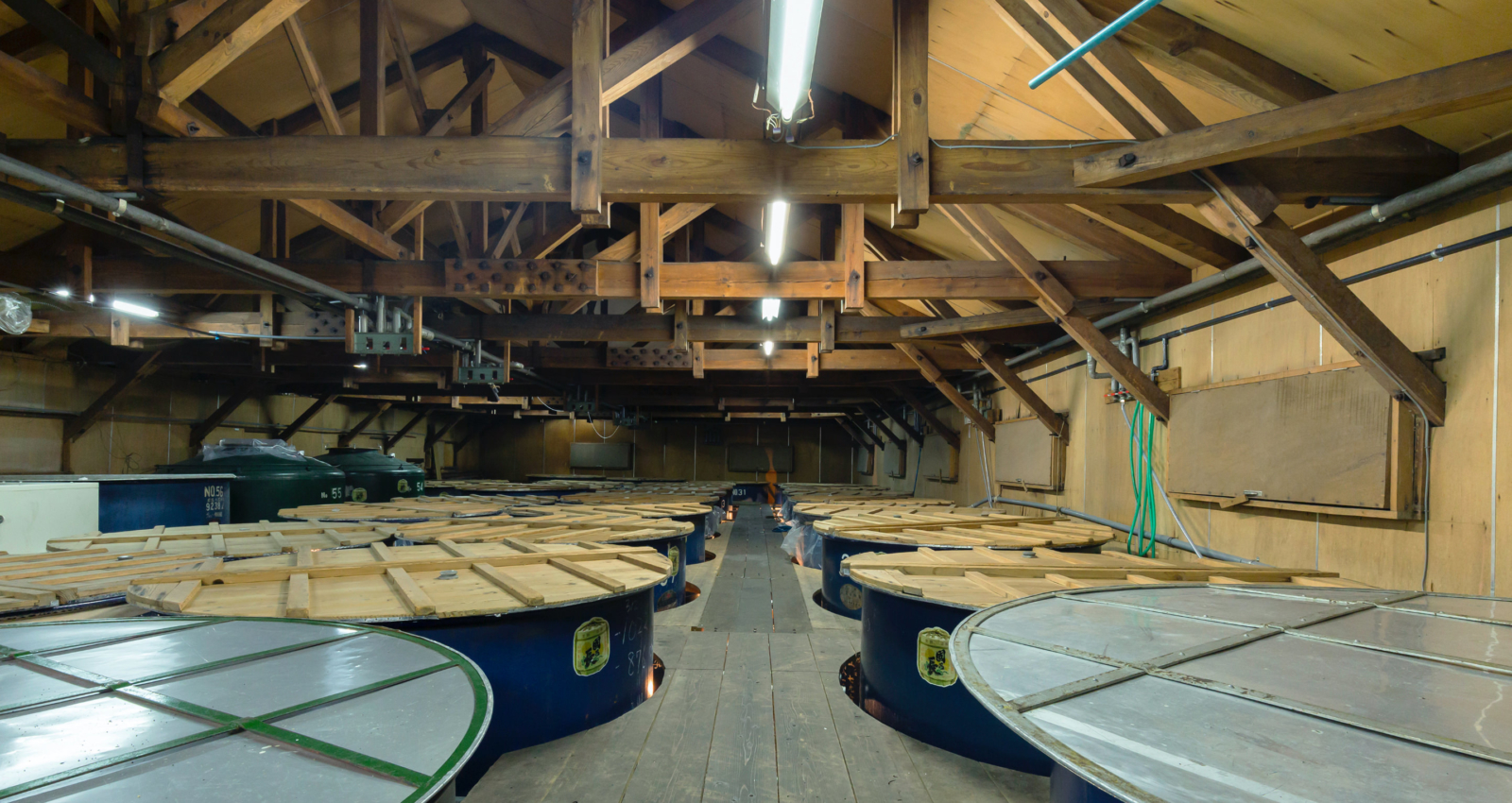Rows of fermentation tanks inside the brewing hall.