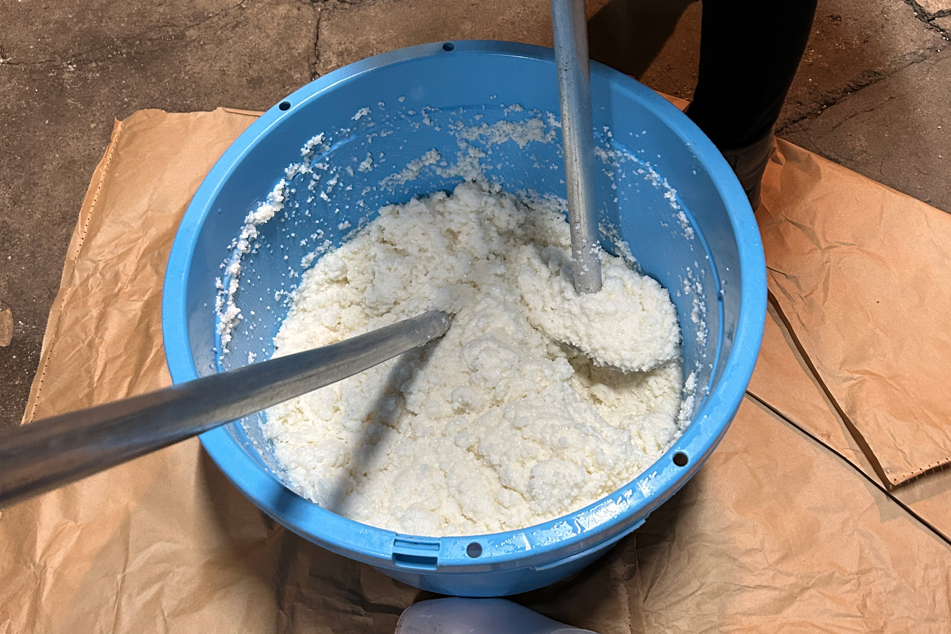 Freshly steamed rice being mixed with koji in a tub during the brewing process.