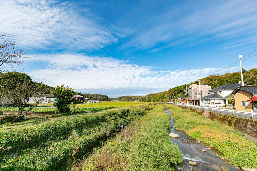 Rice paddies and a clear stream near the brewery in Yasaka, Kyotango