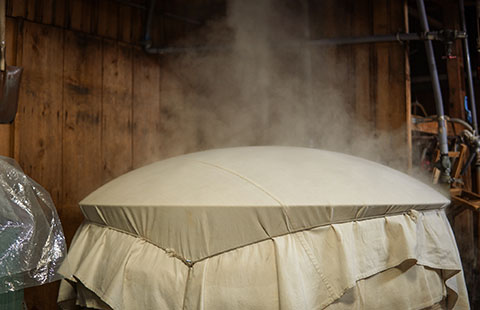 Steaming rice covered with cloth during the brewing process.