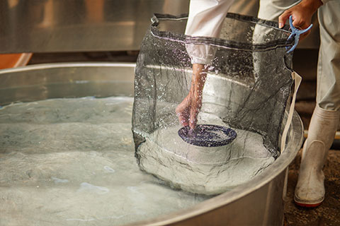 A cloth sack of rice being rinsed in a washing tank.