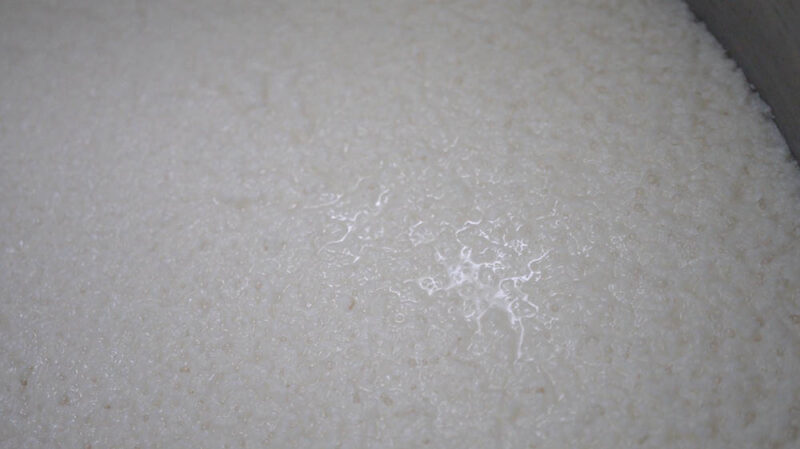 Close-up of fermenting moromi mash during the shikomi stage.